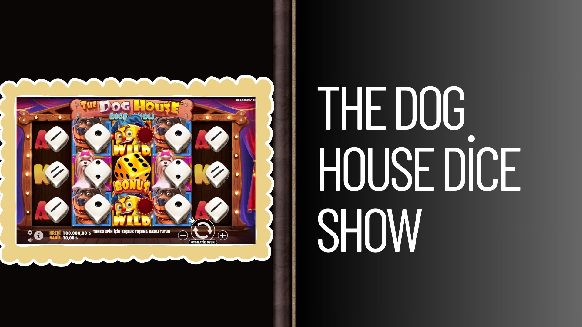 The Dog House Dice Show