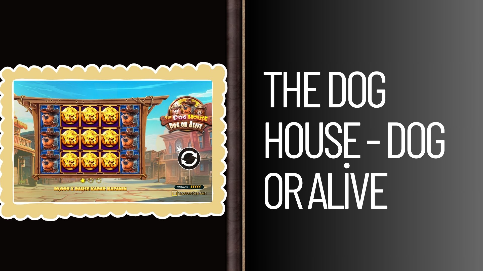 The Dog House - Dog or Alive